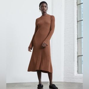 Everlane brown ribbed mock neck stretch midi dress size Small
